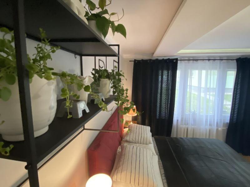 Apartament ,, Sen I Kawa" - Komfortowy Nocleg W Sercu Aglomeracji Bytom Zewnętrze zdjęcie